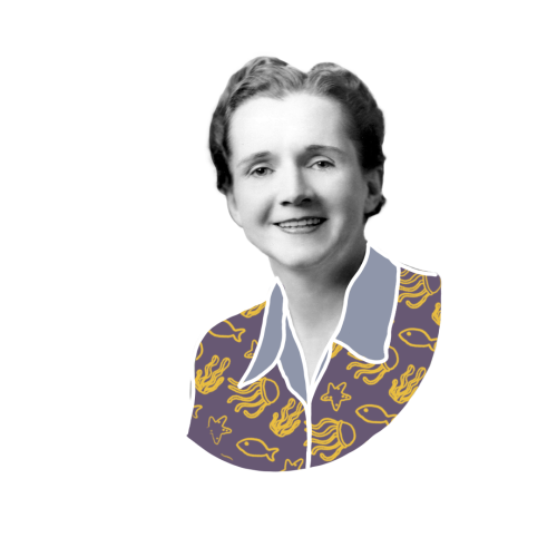 Rachel Carson